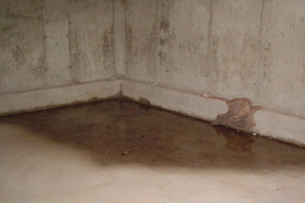 standing-water-wet-basement